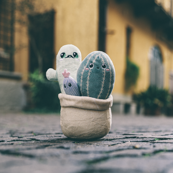 Mr. Cactus & Family Plushie Launched