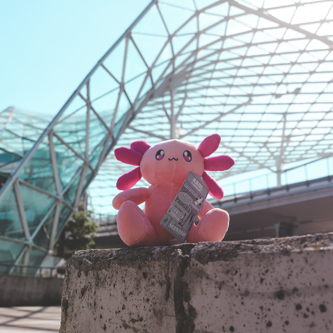Scented Axol the Axolotl Launched