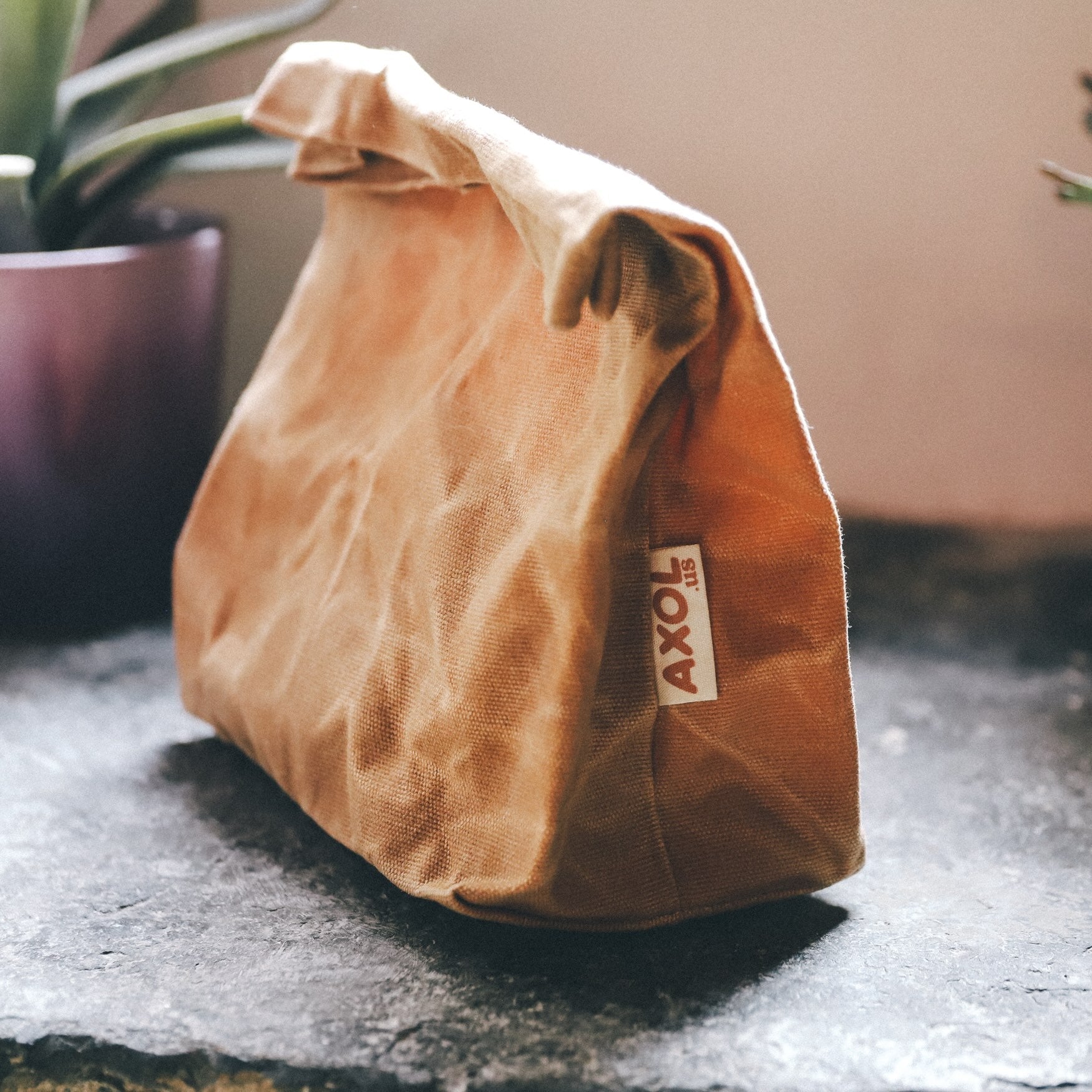 Reusable, Collectible Bags for Packaging