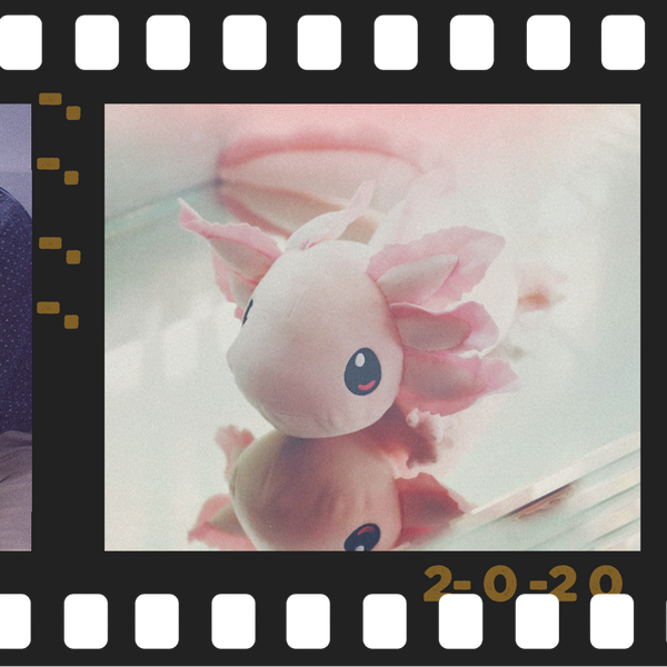 Introducing the Realistic Weighted Axolotl Plush