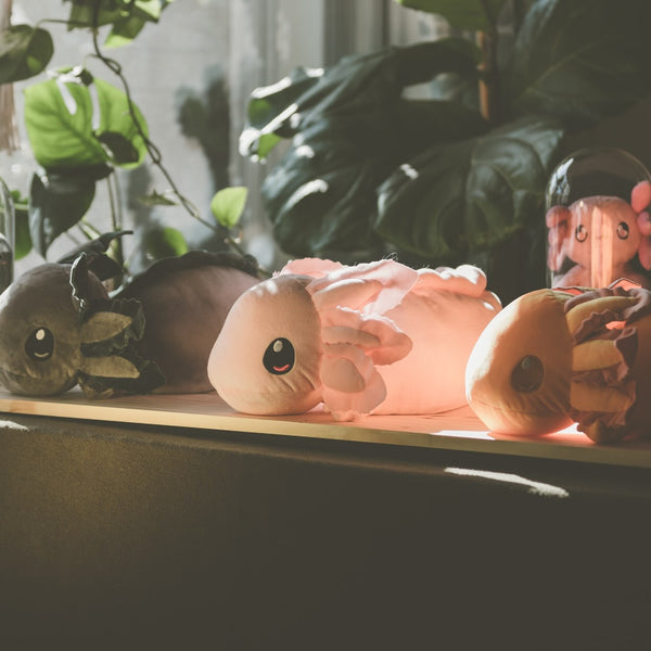 Three Colors of Realistic Axolotl Plush