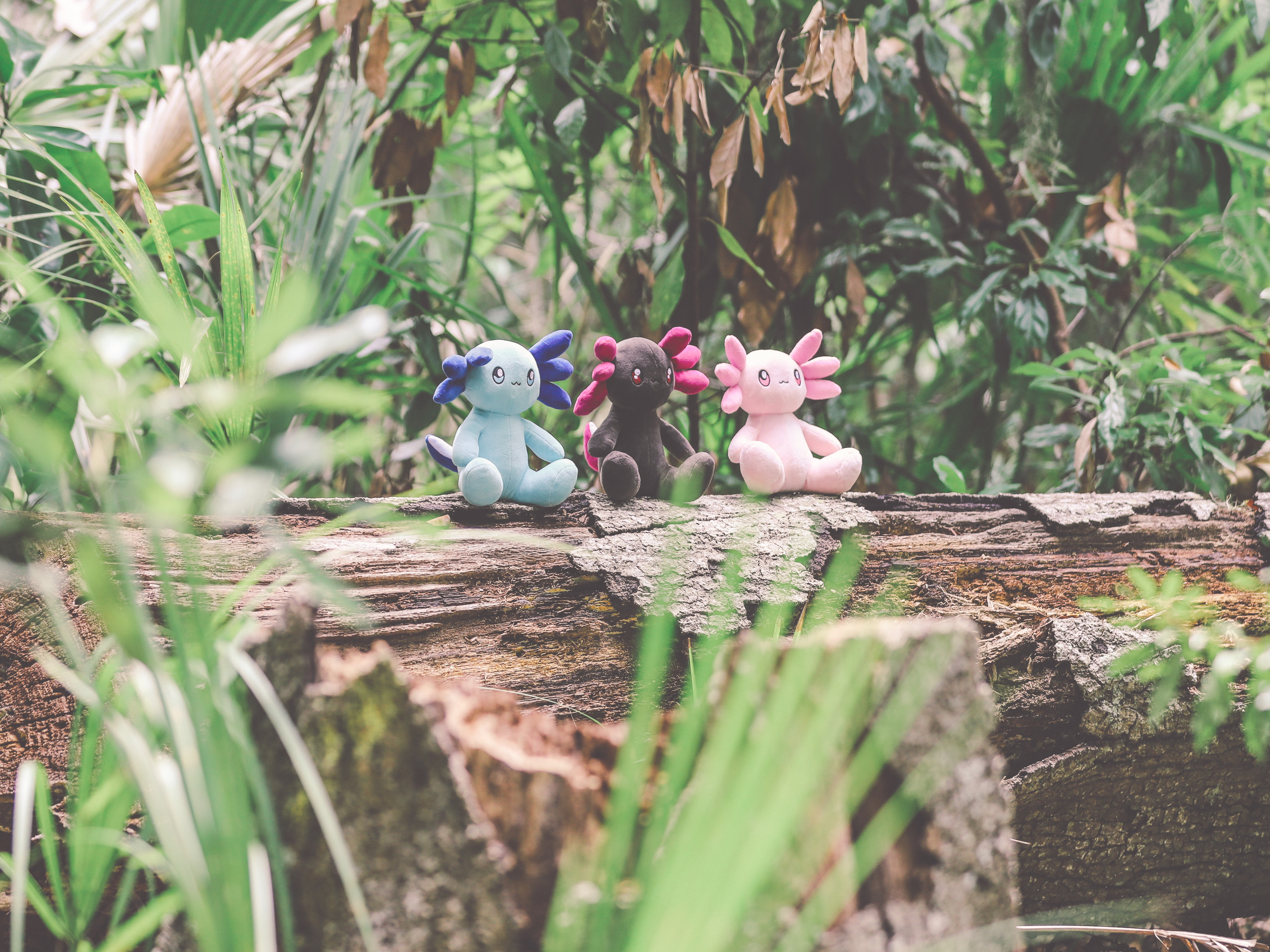 Plushies