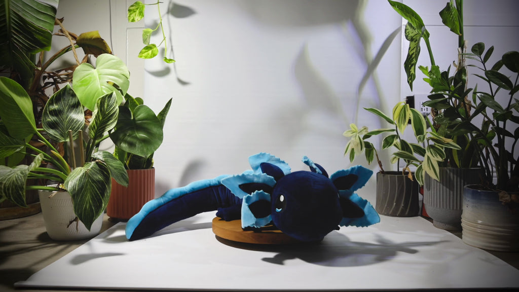 [PRE-ORDER] 4lb Weighted Realistic Axolotl Plush - Blue (1.8kg)