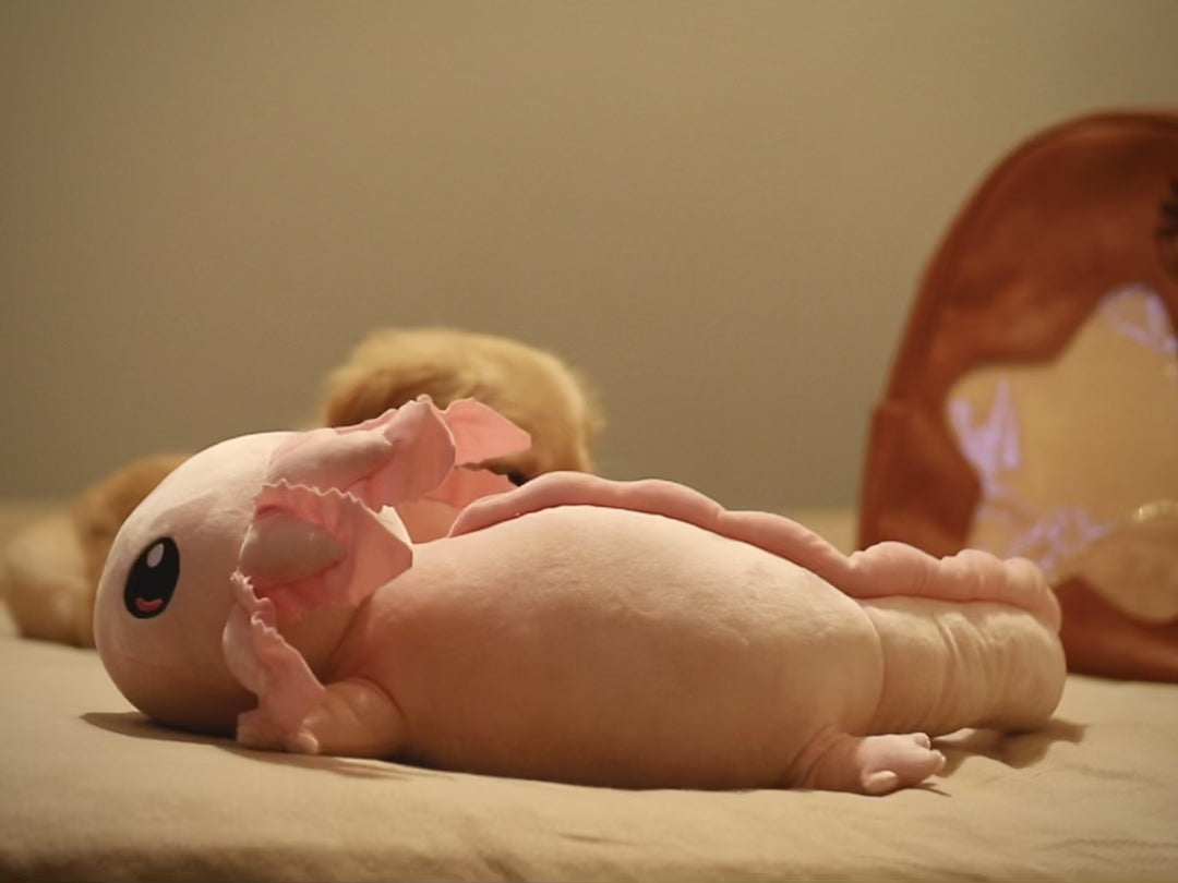 [PRE-ORDER] 4lb Weighted Realistic Axolotl Plush - Pink (1.8kg)