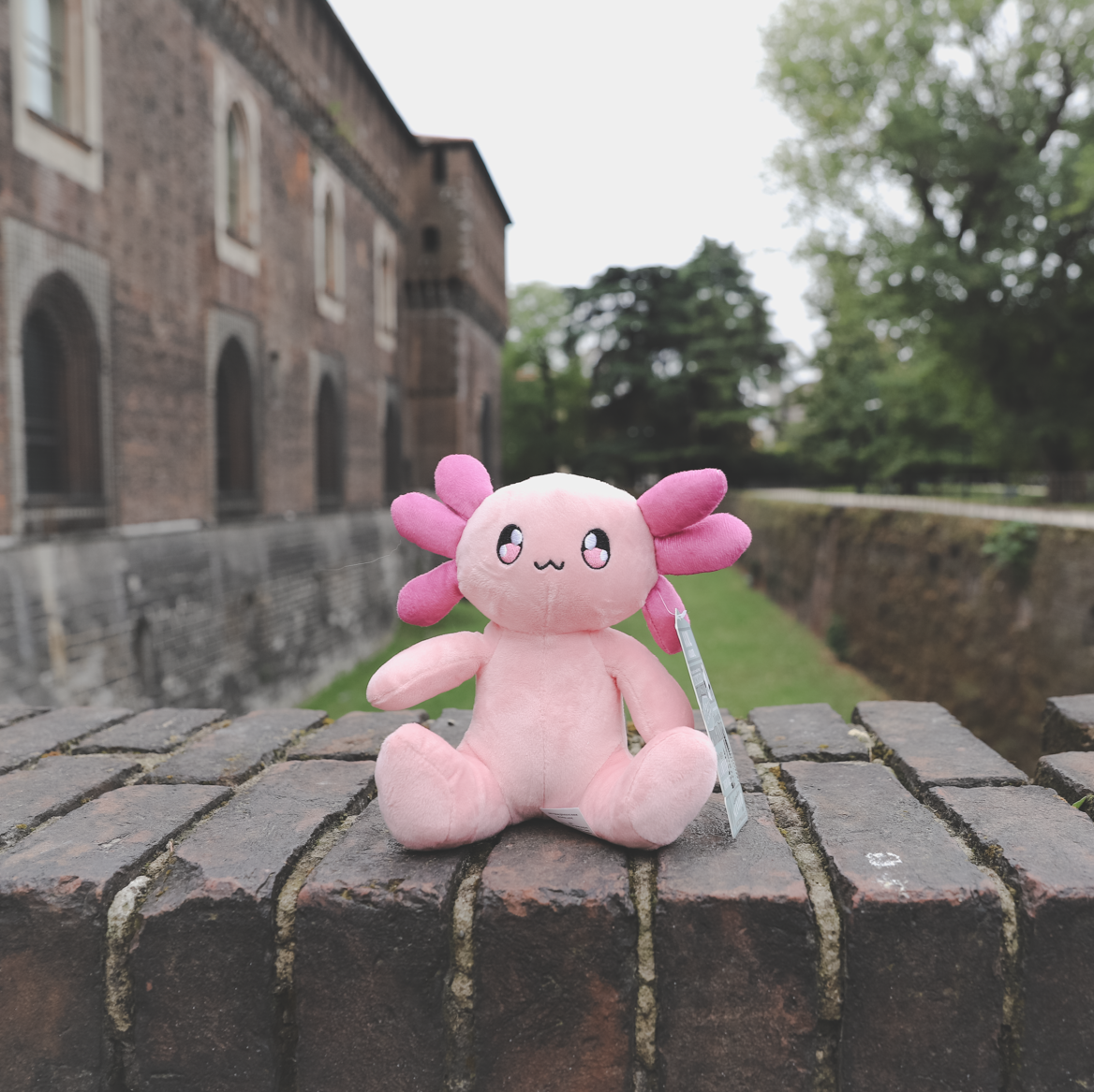Scented Axol The Axolotl - Pink